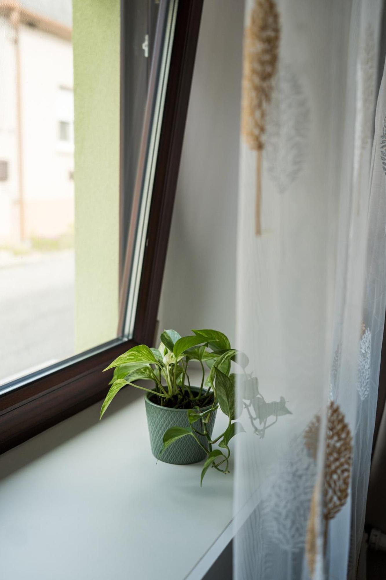 Csipesz_Vendeghaz Appartement Sümeg Buitenkant foto